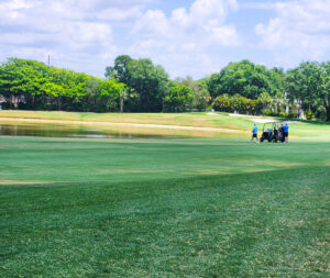 ABC FL golf 1