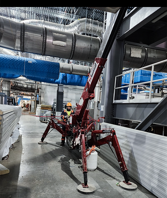 project incorp nestle purina 2 project incorp nestle purina 2